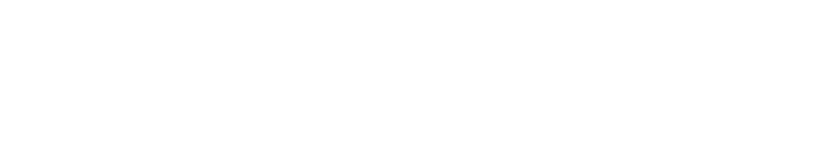 Insurance Problem Solvers header text logo image